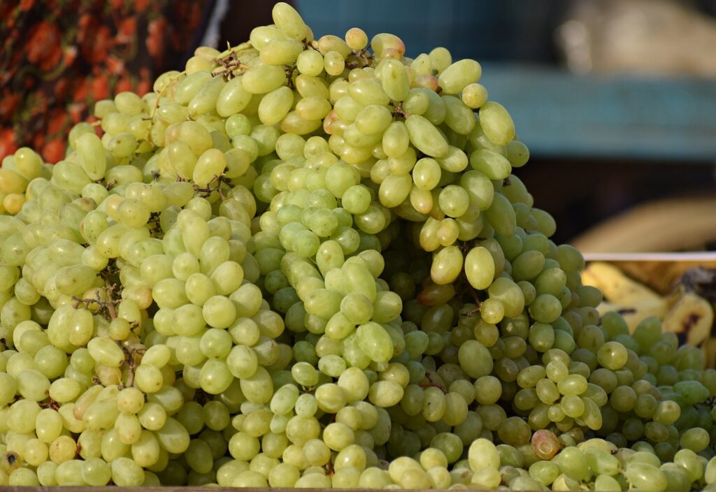 grapes-4024211_1280