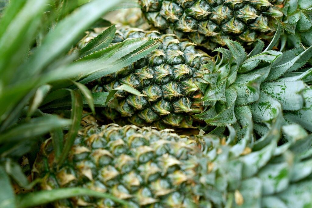 pineapple-8440180_1280